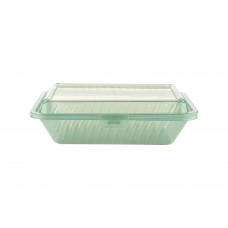 EC-11 Standard Food Container